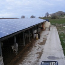 Azienda Agricola Passannante - Balvano (PZ) - 36 kWp